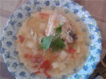 Щи из кабачка , Рецепт приготовления